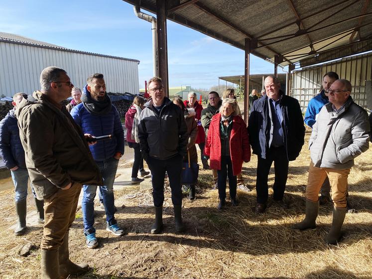 Mercredi 15 mars, à La Marolle-en-Sologne. Des chefs cuisiniers de la restauration collective qui utilisent la plateforme Agrilocal visitent l'élevage bovin viande Jaffré et fils.