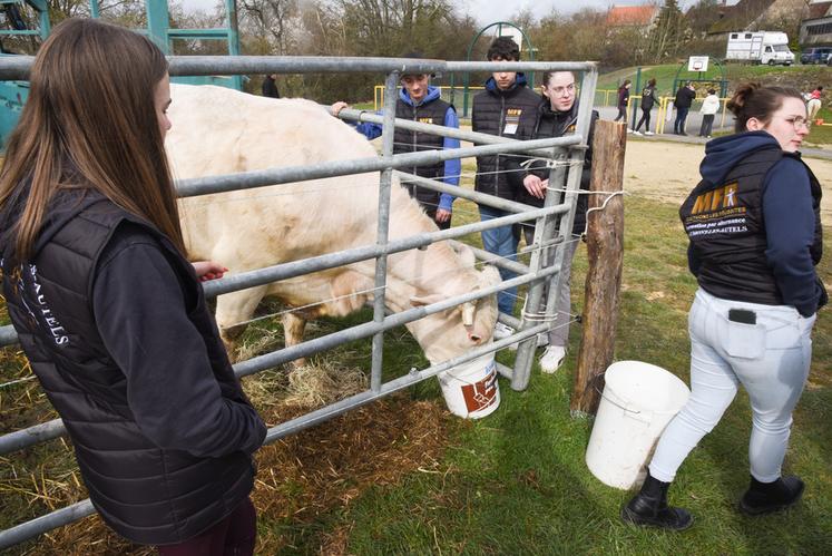 Samedi 18 mars, à Beaumont-les-Autels. La MFR a pris des petits airs de comice pour ces portes ouvertes avec des animaux amenés par les élèves et du matériel. 