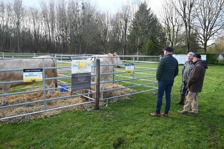 La foire aux bestiaux était l'occasion idéale pour les acheteurs de mettre en avant le circuit court en discutant directement avec les éleveurs.