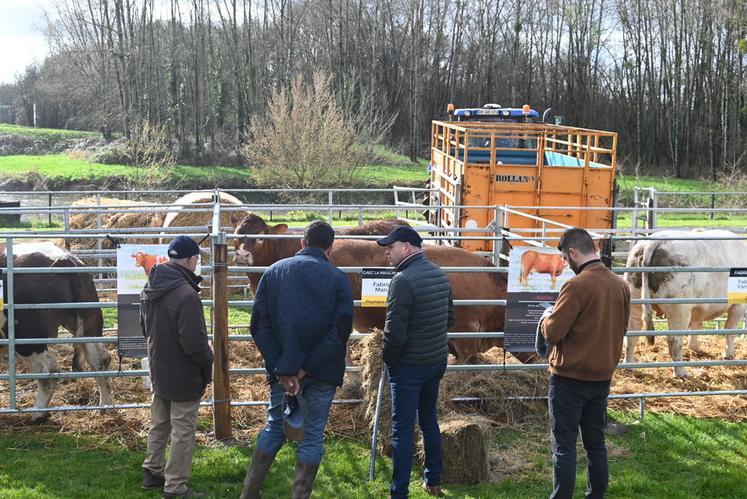 La foire aux bestiaux a été une belle occasion pour éleveurs et acheteurs de créer du lien et échanger.