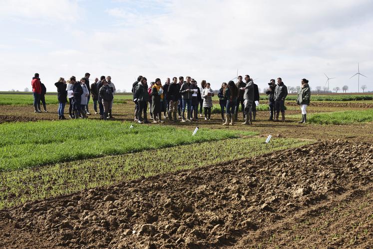 À trois mois de l'événement, 750 micro-parcelles sont semées et l'ensemble des espaces sont délimités.