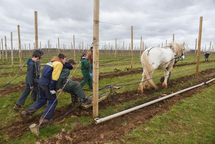 Le 10 mars, à Louville-la-Chenard. Une douzaine d'élèves du LEAP de Nermont ont participé à un atelier de maraîchage avec cheval.