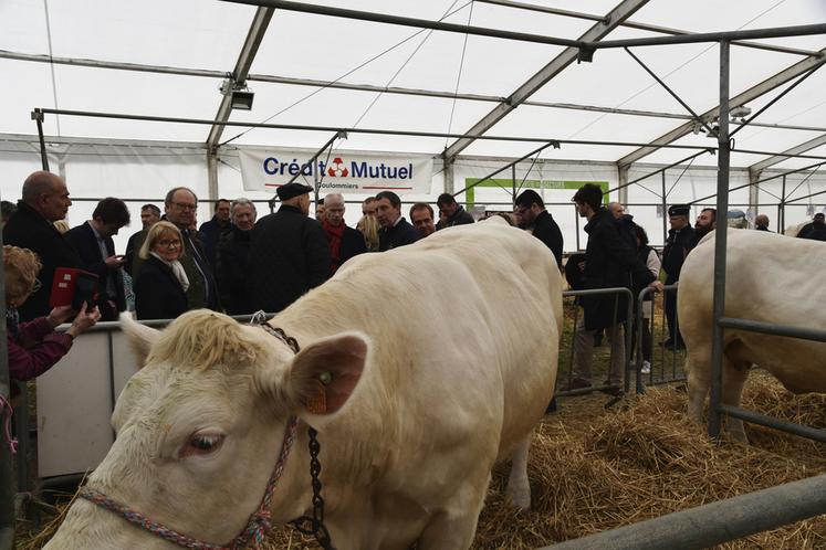 Échange avec le plus ancien éleveur présent sur la foire, Bernard Aubry.