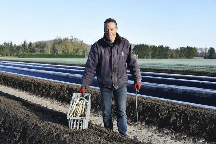 Hervé Beulin emploie cinq à six saisonniers chaque année pour l'aider à récolter les asperges.