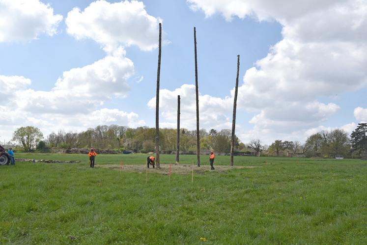 Cette quatrième manche est la seule à organiser en réel l'épreuve d’abattage consistant à faire tomber à l'aide d'une tronçonneuse un mât haut de 20 mètres sur un piquet placé à 15 mètres.