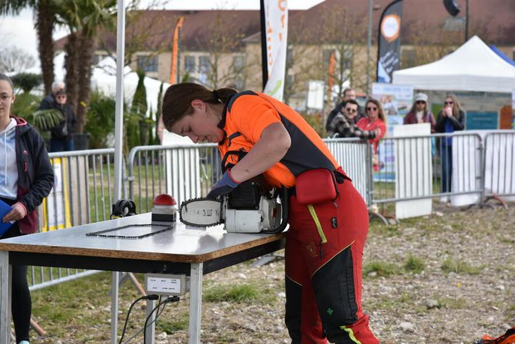 À 14 heures, la compétition a commencé par l'épreuve chronométrée de changement de chaîne. Elle sera suivie des épreuves de coupe combinée, de coupe de précision, d'ébranchage et d'abattage.