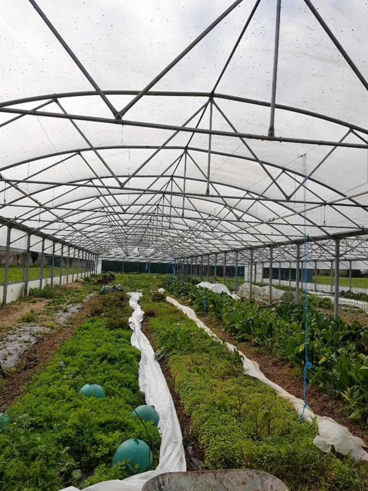 Jeudi 6 avril, le groupe technique des PAI de la région a d'abord visité les serres de l'espace-test de l'Agrocampus de Tours-Fondettes. 