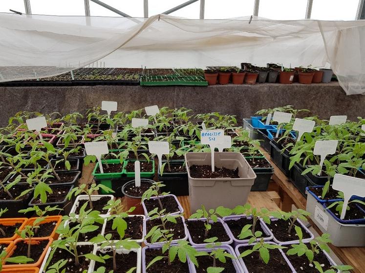 La ferme Les Jardins perchés est axée sur la diversification.