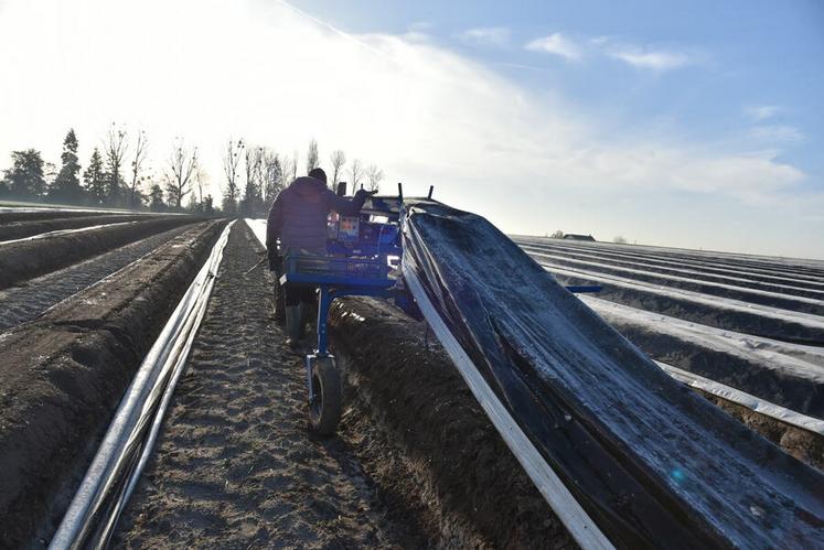 Machine pour soulever la bâche sans la retirer intégralement de la butte.