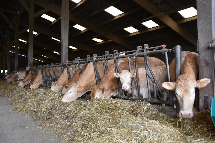 Pour un ou plusieurs associés du GAEC, il est possible de conduire une activité extérieure au groupement. Toutefois, les règles encadrant la pluriactivité sont très strictes.