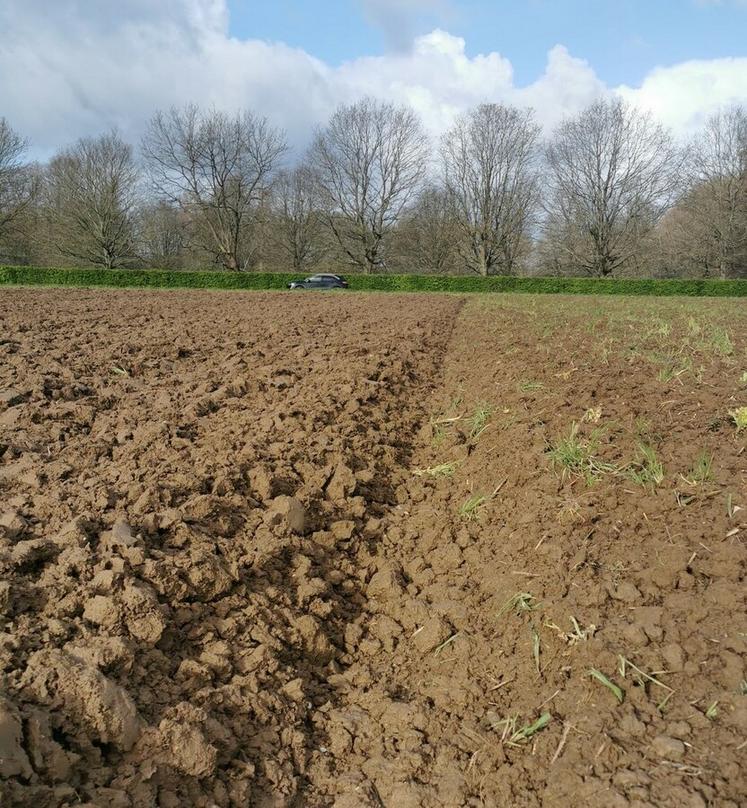 « Il faut arrêter le combat labour-sans labour. Il n’y a pas de bons ou mauvais moyens de travailler le sol. Il y a seulement des choix à faire en fonction de ses objectifs », explique Julien Hérault, expert en agroéquipement 