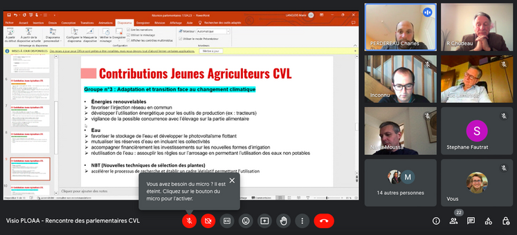 Une douzaine de parlementaires a assisté à cette visioconférence organisée par JA CVL. 