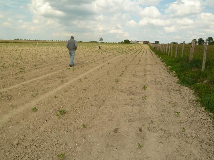 L'abandon de poste est caractérisé par une sortie non autorisée ou des absences injustifiées du salarié pendant les heures de travail.
