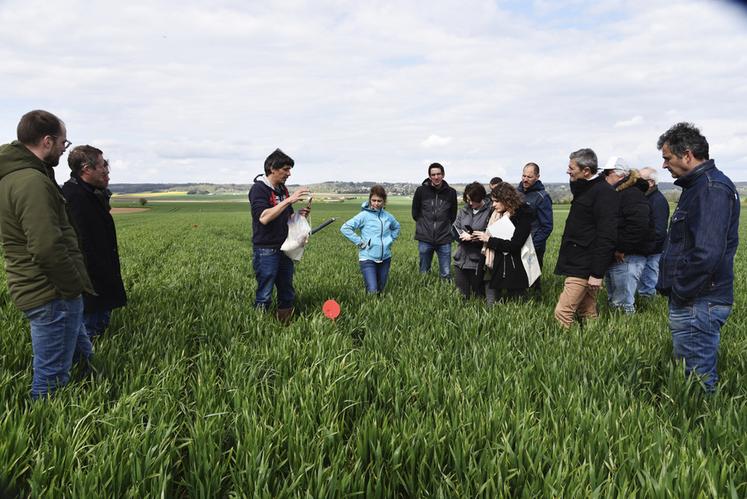 Lundi 24 avril, à Thiverval-Grignon (Yvelines). Les responsables de la plateforme Trajectoire de la Ferme de Grignon ont reçu les agriculteurs des groupes Dephy et 30 000.