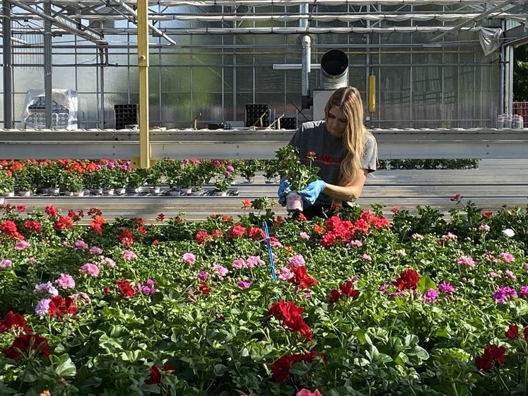 L'insertion se présente comme une opportunité pour l'emploi de salariés agricoles.