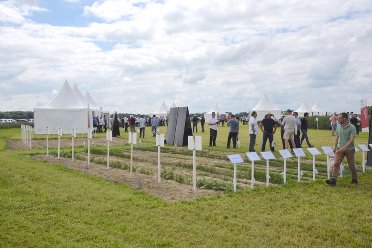 Rendez-vous le 9 juin à Arrou pour les Rencontres agronomiques Axéréal.