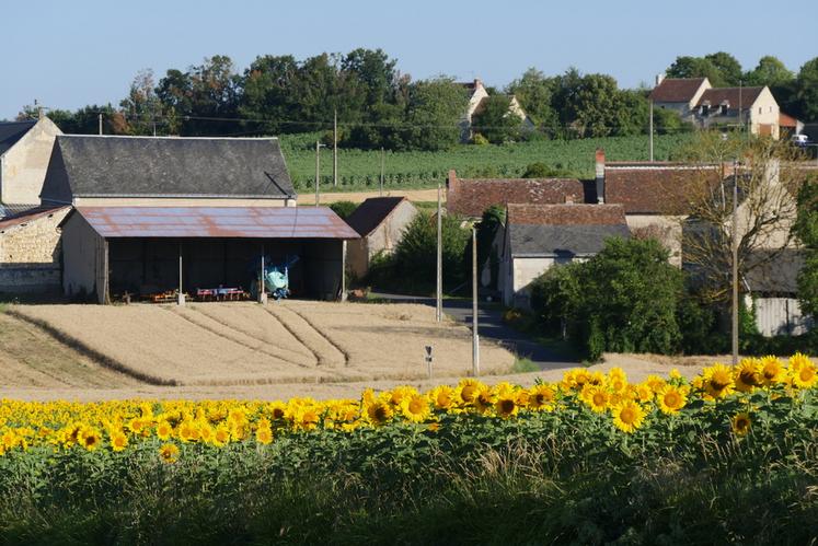 Quand le bail prend fin, l’état des lieux facilite la détermination des améliorations ou des dégradations, ce qui permet d'en déduire une créance au profit du bailleur ou du preneur.