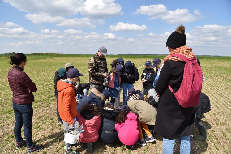 Beaumont-du-Gâtinais, mardi 18 avril. Olivier Brossier présente sa parcelle de lentilles et les spécificités d'une légumineuse.