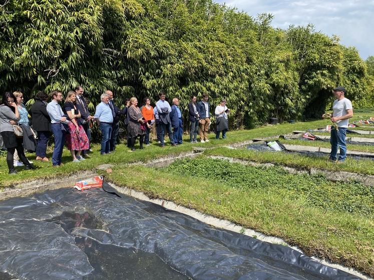 Créée en 1854, la cressonnière Sainte-Anne est la plus ancienne du département.