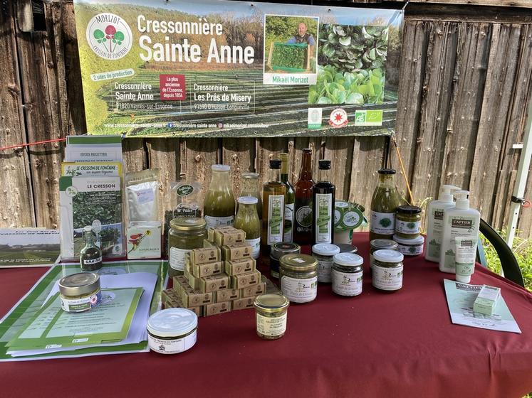 Soupes, terrines et même cosmétiques, le cresson est décliné sous de nombreuses formes.