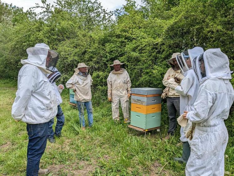 Un premier rendez-vous apicole a eu lieu jeudi 4 mai chez Jonas Delalande à Magny-les-Hameaux (Yvelines). 