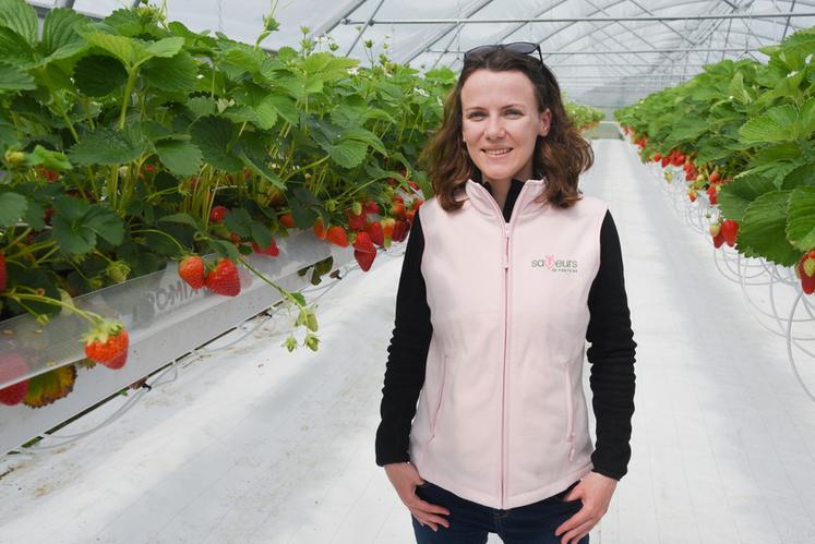 Le 11 mai, à Fontaine-la-Guyon. Pour les amateurs de saveurs locales, Rozenn Brochard produit fraises et framboises.