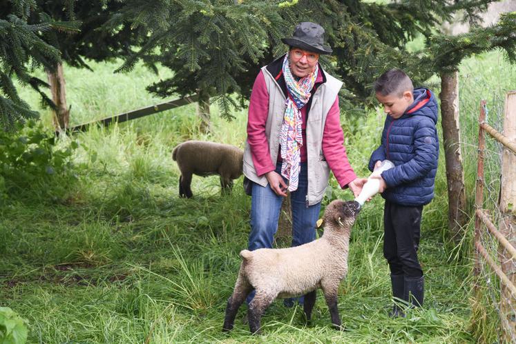 Mercredi 10 mai, à Orrouer. L'agricultrice Véronique André a ouvert sa ferme à la pédagogie l'an dernier.
