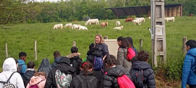 Jeudi 11 mai, à Guérard (Seine-et-Marne). Sophie Désert fait visiter son élevage à de petits citadins.