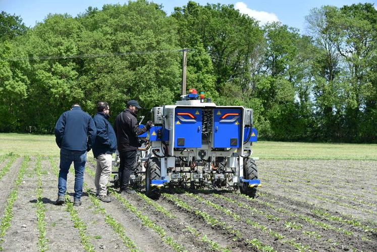 Présenté pour la première fois par l'ITB, le Bluebob est un robot de désherbage autonome capable de distinguer betteraves et adventices.