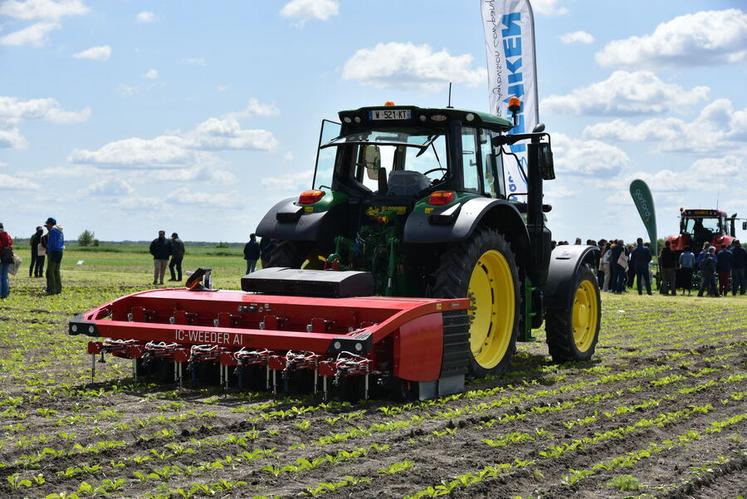 Utilisé en maraîchage, le robot désherbeur IC-Weeder était présenté pour la première fois sur betterave. Il suffira alors d'adapter la densité des semis.