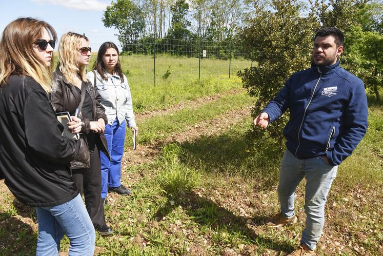 Le 16 mai, à Pruneville. Lorsque nous avons rencontré Corentin Chateigner, il recevait sur sa ferme trois étudiantes en géographie à la Sorbonne, venues étudier l'Eure-et-Loir.