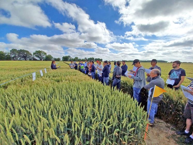 Tous les agriculteurs peuvent venir aux visites d'essais organisées par la Chambre d’agriculture de Loir-et-Cher. 