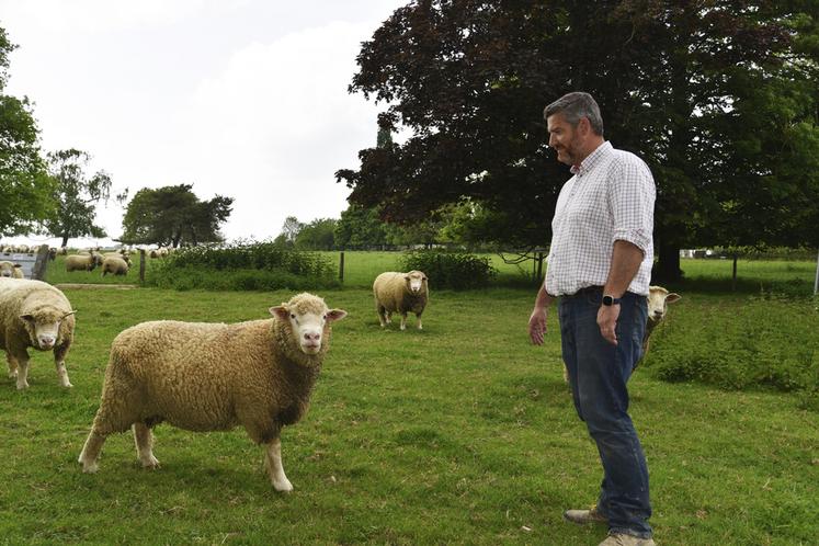 La viande d'agneau qui sera servie lors de l'assemblée générale de la FDSEA 77 provient de l'élevage de Brice De Bisschop, ici avec ses béliers.