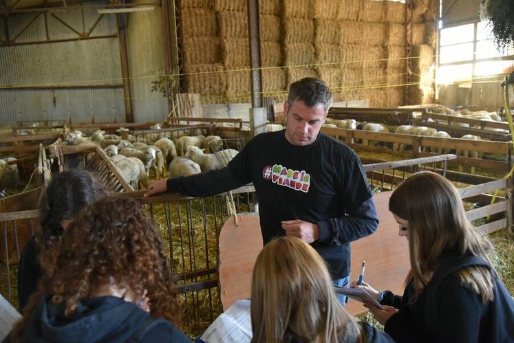 À Greneville-en-Beauce, Martin Beauvallet répondait à toutes les interrogations des élèves du lycée Jean-de-la-Taille concernant la filière ovine.
