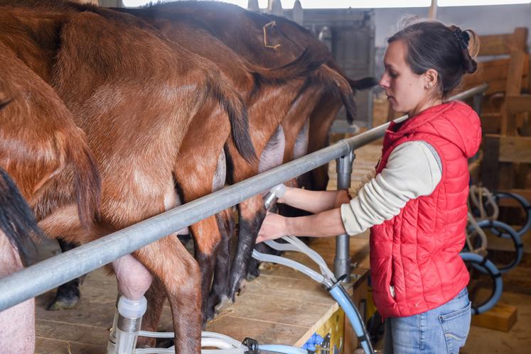 Le 11 mai, à Fontenay-sur-Eure. Manon Bauchet dispose d'un bâtiment où tout est réuni pour faciliter son travail d'éleveuse.