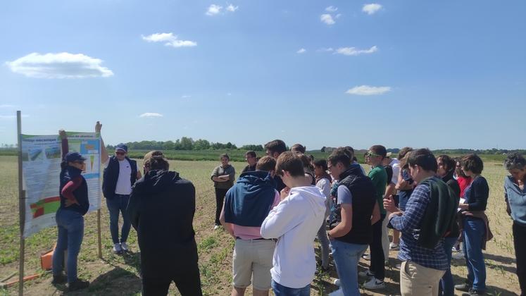 Jeudi 25 mai, à Amilly. Une visite de l'exploitation du lycée du Chesnoy a permis de constater les premiers résultats d'essais et des rotations de cultures.