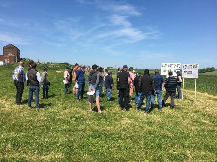 Au nord de l'Aisne, la plateforme longue durée « Système C l’agroécologie partagée » a pour objectif « d’associer les solutions afin de transformer les impacts négatifs en impacts positifs pour l’environnement et la biodiversité tout en maintenant un niveau de production haut, avec des coûts optimisés ».