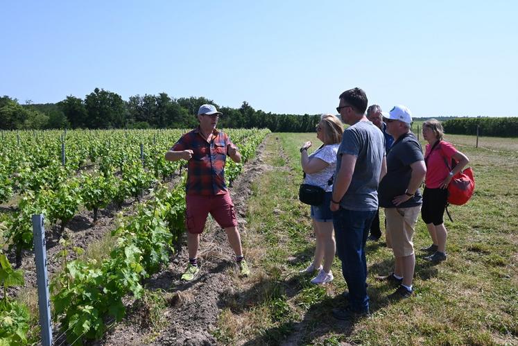 Dimanche 28 mai, à Rilly-sur-Loire. Gilles Tamagnan, gérant du Domaine des Pierrettes, a présenté ses vignes à l'occasion du pique-nique des Vignerons indépendants.