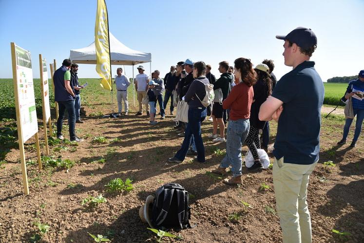 À Étampes (Essonne), mercredi 31 mai lors de la plateforme dédiée à l'agriculture biologique.