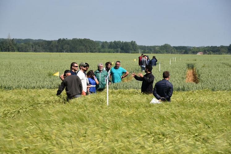 En plus d'être présente sur un stand, la Fédération des Cuma du Loiret animait un essai sur les différents itinéraires techniques d'implantation de blé et orge.