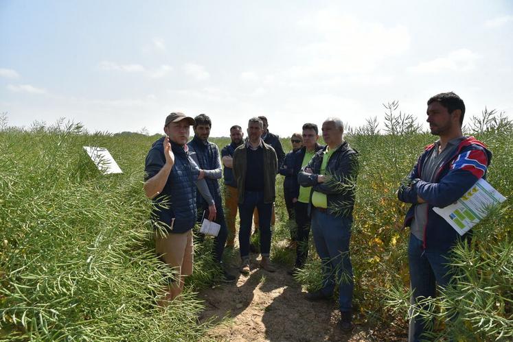 Visite des essais colza sur la plateforme Adarel, en présence de Sebastien Méry, président de la FNSEA 45.