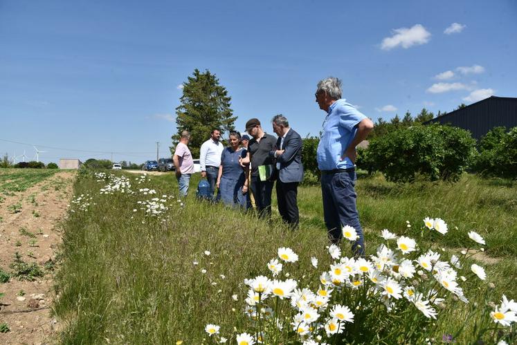 L'assemblée s'est ensuite rendue devant une bordure de champ Agrifaune afin de constater les résultats de son implantation.