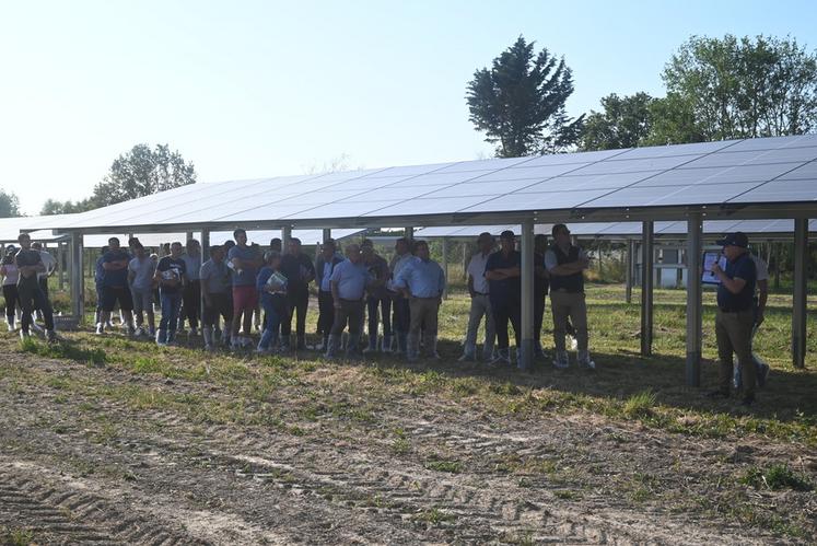 À Saint-Ouen (Loir-et-Cher), l'agrivoltaïsme faisait partie des nombreux sujets abordés lors de la visite de l'EARL Touchebelle. Philippe Crosnier, son gérant, a présenté ses ombrières.