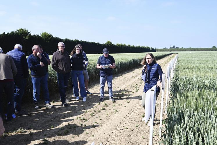 Vendredi 2 juin, à Nourray. Axéréal organisait ses Rencontres agronomiques avec des ateliers au champ.