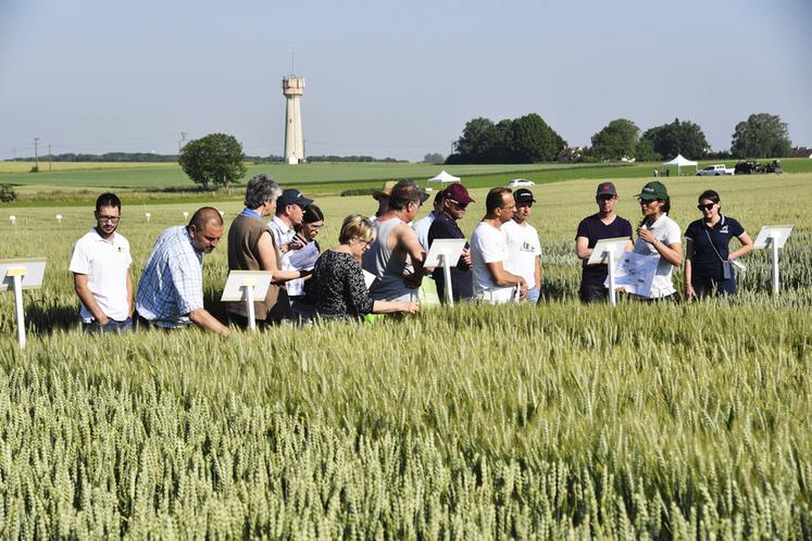 Gastins (Seine-et-Marne), jeudi 8 juin. La matinée était consacrée à la visite commentée des essais. 