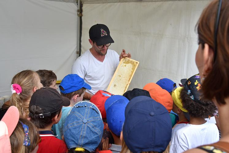 Les enfants étaient particulièrement intéressés par l'animation apicole proposée par Mathieu, producteur récoltant à Saint-Martin-d'Abbat.