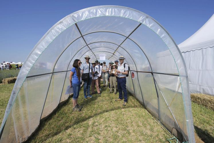 Plusieurs illustrations pédagogiques étaient proposées : ici une serre pour simuler l'effet du réchauffement climatique.