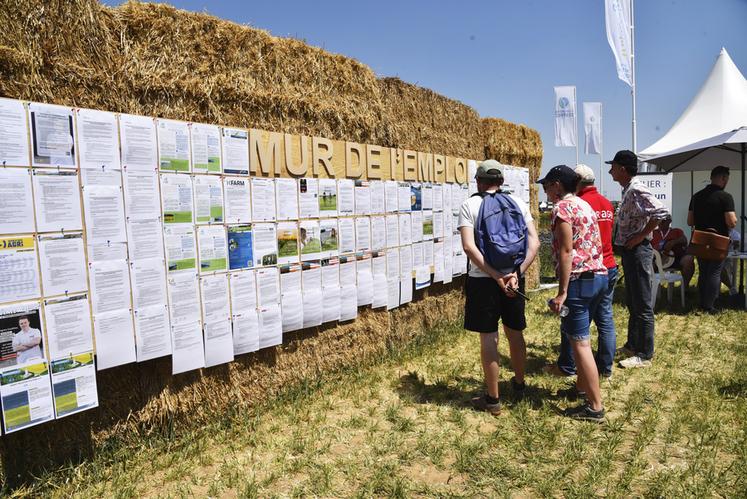 Au sein de l'espace Trajectoire dédié au métier de l'agriculture, un mur de l'emploi a réuni plus d'une centaine d'offres.