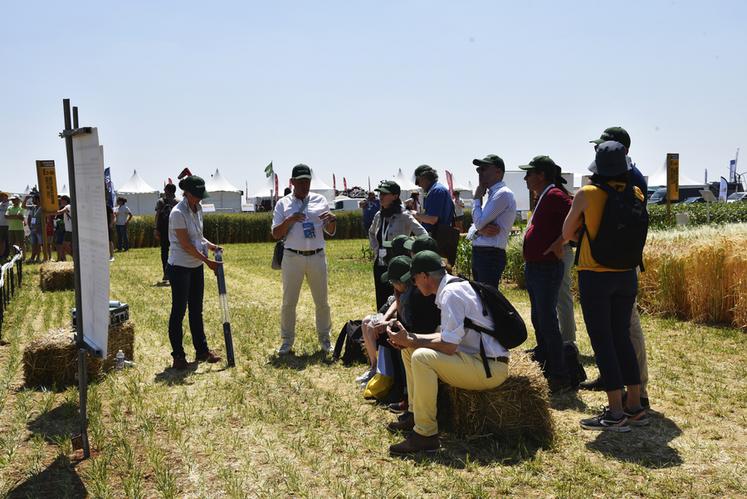 Deux cents techniciens d'Arvalis étaient présents sur le site pour présenter les ateliers aux agriculteurs. 