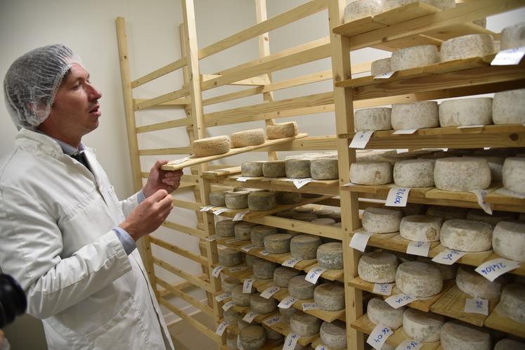 Mardi 16 mai, à Tancrou (Seine-et-Marne). Clément Moret au sein de la cave d'affinage des tommes de chèvre de la fromagerie fermière.